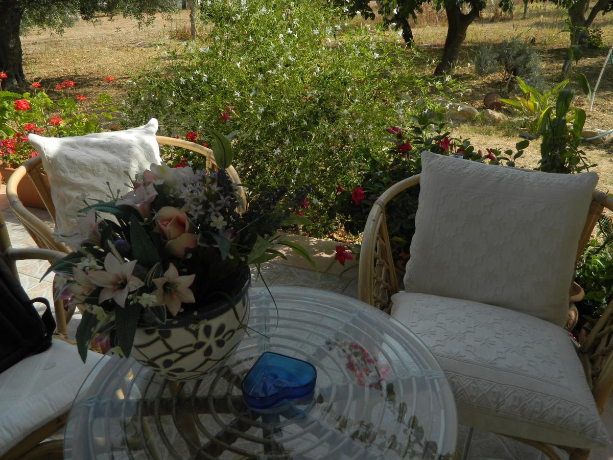 Uliveto House Bed and Breakfast Castellammare del Golfo Buitenkant foto