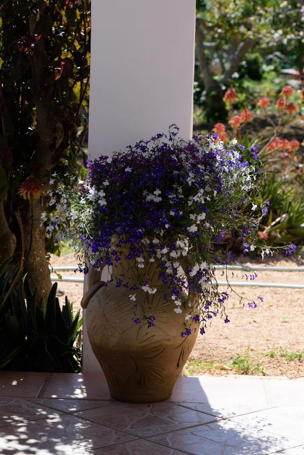 Uliveto House Bed and Breakfast Castellammare del Golfo Buitenkant foto