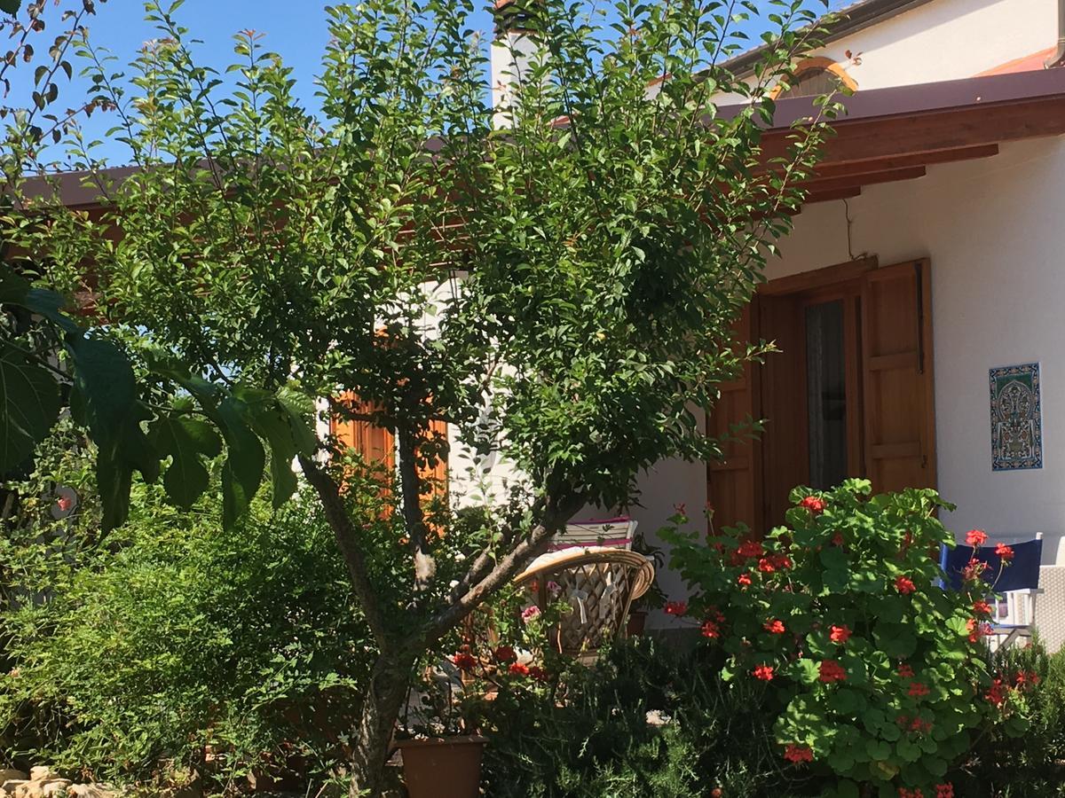 Uliveto House Bed and Breakfast Castellammare del Golfo Buitenkant foto